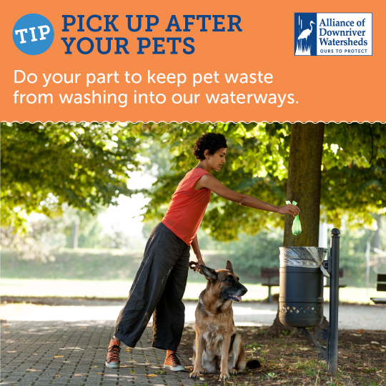 Tip_-_Pick_up_after_your_pets_1080x1080 (2)